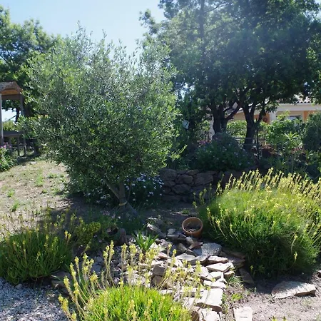 Coustelline Apartman Le Lavandou