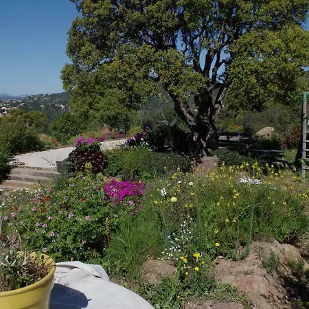 Coustelline 르 라방두