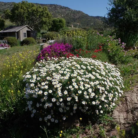 アパート Coustelline